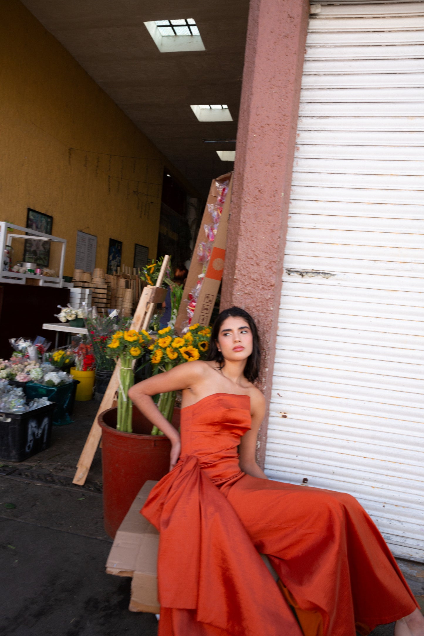 Elena Gown